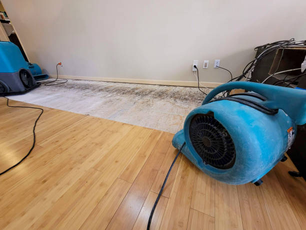 Reliable Water Extraction contractor in Bennett, NC by Hirex Water Damage